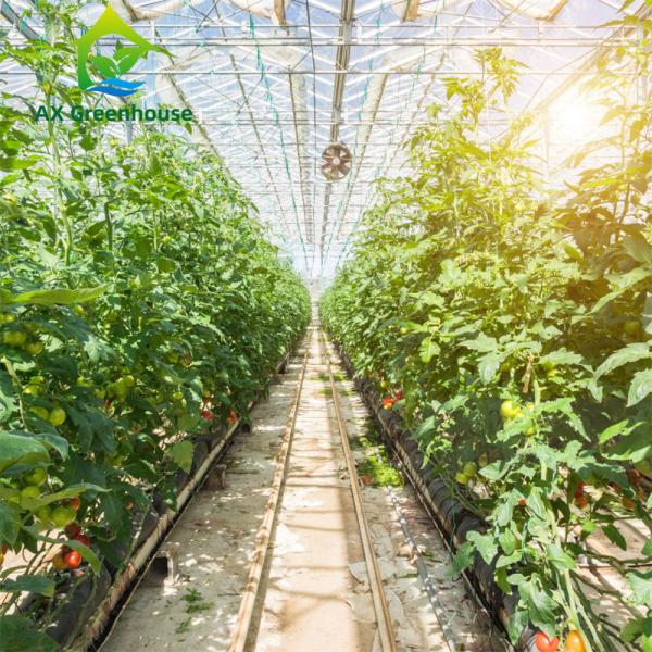 Quality ODM Industrial Agricultural Glass Greenhouse for sale