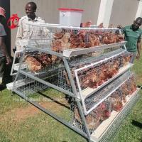 Quality A Or H Type Poultry Farming Cage System Design For Chicken House Sandy for sale