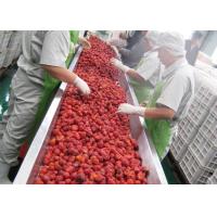 China 380V Berry Fruit Jam Processing Machinery 20T/H ISO9001 Certificate for sale