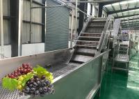 China Water Saving Fruit Juice Processing Equipment Fresh Grape Washing Machine Environment Friendly factory