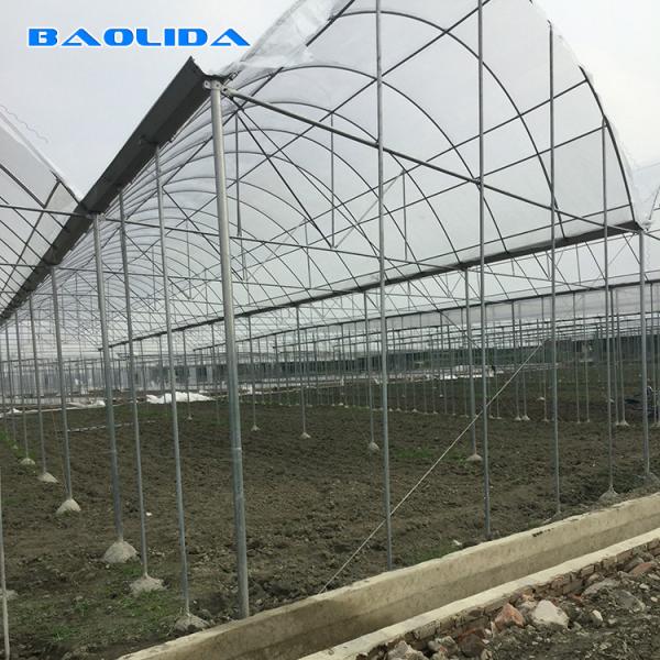 Quality Strong Structure Heavy Duty Plastic Greenhouse / Plastic Tomato Greenhouse for sale