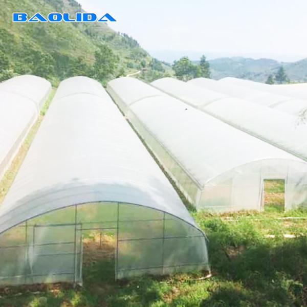 Quality Strong Tunnel Plastic Film Greenhouse Polyethylene Covering With Irrigation for sale