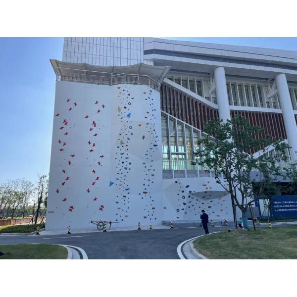 Quality Theme Park Speed Climbing Wall Outdoor Customized Wall Climbing For Adults for sale