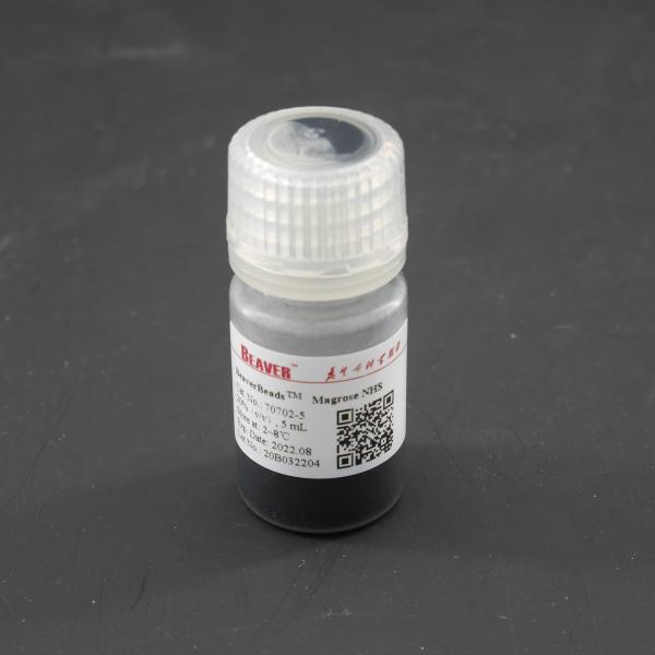 Quality Agarose NHS Activated Magnetic Beads Preactivated N - Hydroxy Succinimide Nanoparticle for sale