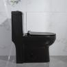 China Compact Trapway Skirted One Piece Toilet Closet Flush Water Easy Clean factory