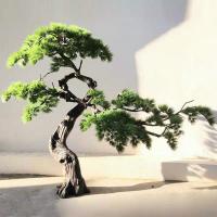 China Indoor Giant Podocarpus Artificial Pine Trees Beautiful appearance factory