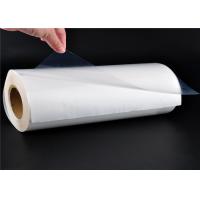 China Thermoplastic Non-woven Fusible Interlining PA Thickness 0.10mm Hot Melt Adhesive Film for Fabric Lamination factory