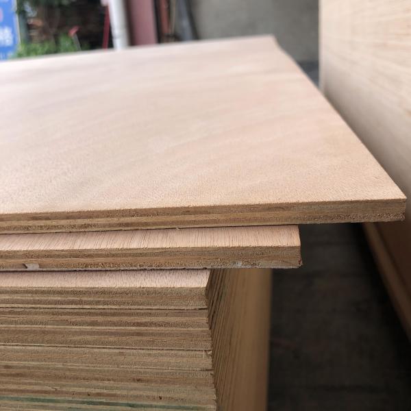 Quality Mildewproof Poplar Hardwood Veneer Plywood Harmless Practical for sale