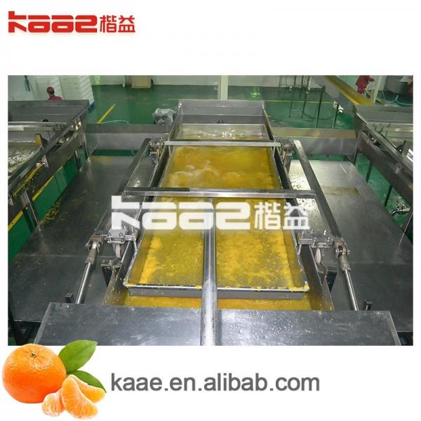 Quality Orange Sacs Juice Extraction Machine Processing Line Automatic Juice Making for sale