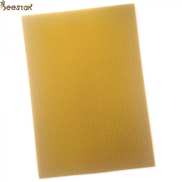 Quality C 100 natural beeswax Honeycomb Frame Beeswax Foundation Sheet for sale
