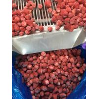 China Certified Premium Quality Kinds Of Chinese IQF Frozen Fruits IQF Strawberry factory