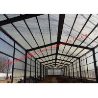 China Prefabricated Steel Structure Poultry Farming Shed For Chicken Farm Building And Cattle Farm Building for sale
