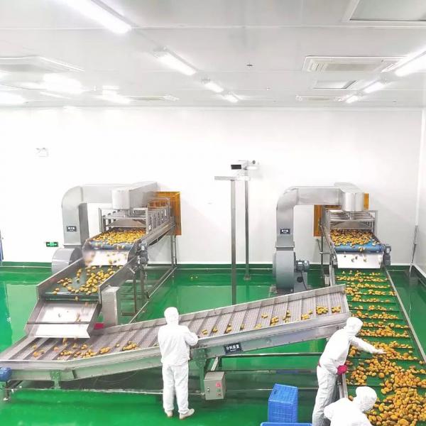 Quality Complete Pineapple And Mango Juice Processing Line Automatic for sale
