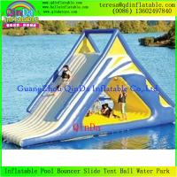 China Best Selling Kids Amusement Park Inflatable Water Slide PVC Inflatable Slides For Sale factory