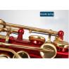 China Professional falling tune E saxophone Red paint spraying brass bluing spring needle Alto Saxophone factory