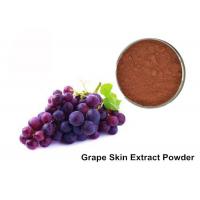 China 25% Anthocyanins Pure Grapeseed / Grape Skin Extract Powder factory