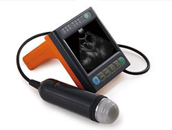 China Digital Medical Veterinary Ultrasound Scanner With 3.5 Inch Screen And Frequency factory