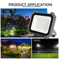 Quality Outdoor Solar Flood Lights for sale