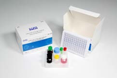 Quality Human Igm Elisa Test EDTA Plasma Antibody Elisa Kit ISO13485 for sale