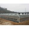 China Sound Insulation PC Rigid Plastic Sheets Greenhouse Grade B1 Retardant Standard For Aquaponics factory