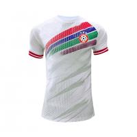 China embroidery Football Team Jersey 100% Polyester Material with Screw thread Collar factory