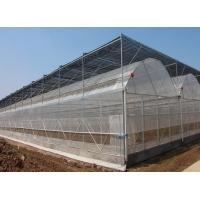 Quality Four Seasons Plastic Film Greenhouse For Temperature Variations Anti Aging UV for sale