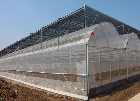 Quality Four Seasons Plastic Film Greenhouse For Temperature Variations Anti Aging UV Resistant for sale