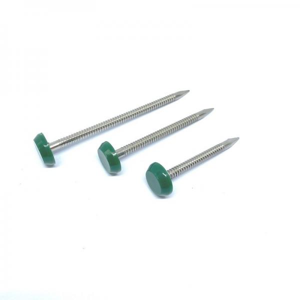 Quality 65mm Annular Stainless Ring Shank Nails With Plastic Head A4 Grade for sale