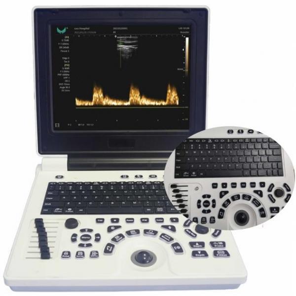 Quality 12in LCD Display Veterinary Ultrasound Equipment For Large Animals FDA ISO for sale