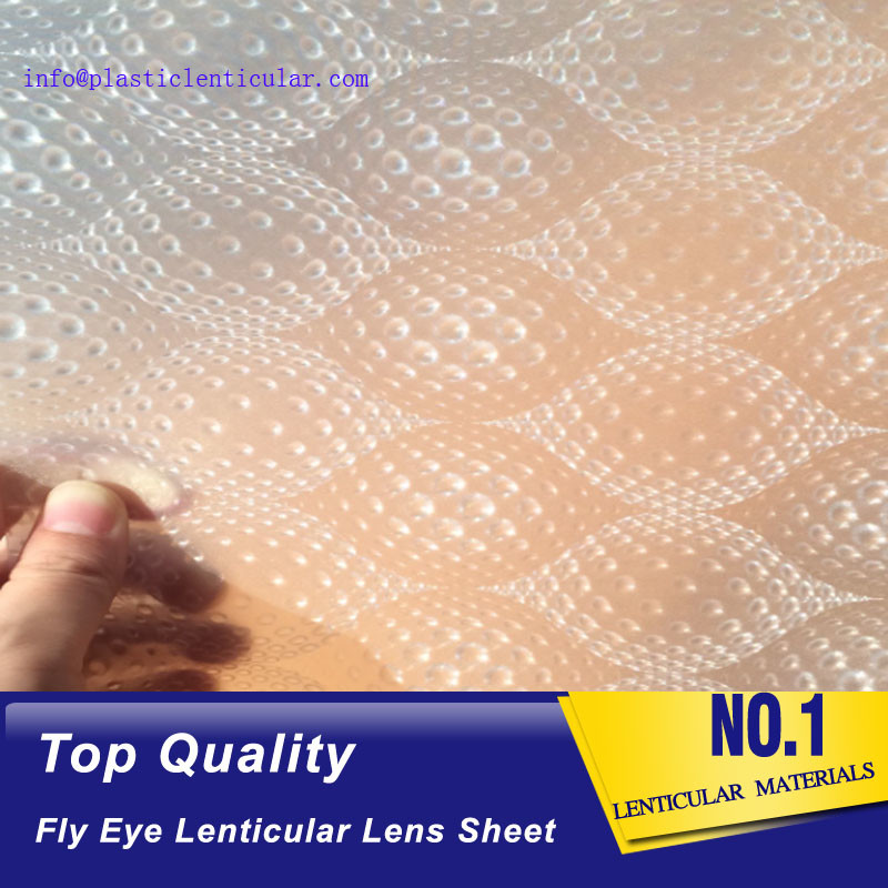 China PLASTIC LENTICULAR latest fly eye lens film good quality PP 3d fly eye lenticular lens sheet factory