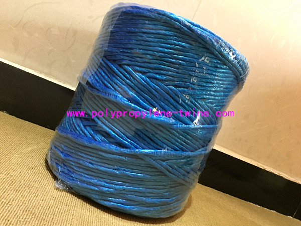 Quality 8g/m Professional Blue Polypropylene Twine Recycled Rope Tenacity Over 252KG for sale