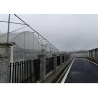 china Simple Structure Plastic Film Greenhouse For Vegetables / Fruits Growing