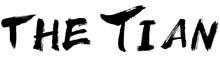 China SHENGTIAN GROUP logo