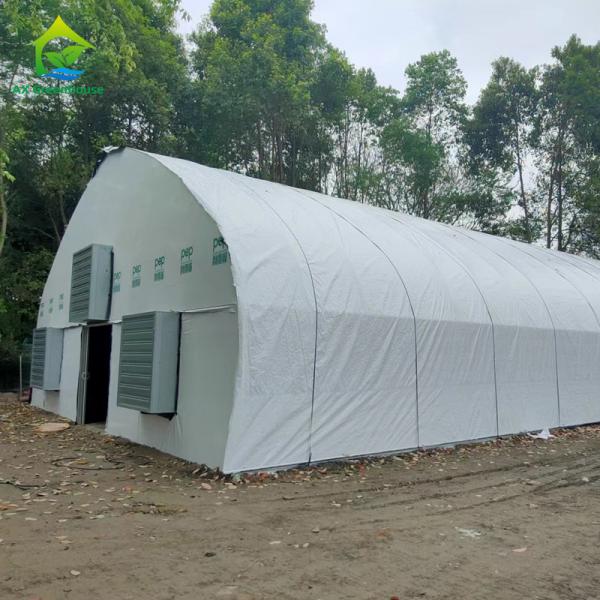 Quality Customized Cannabis Light Dep Solutions Electric Film Roller Blackout Greenhouse for sale