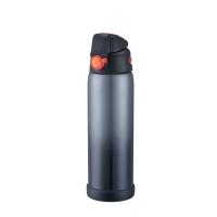 China 650ml 2019 new fashion Thermos Vacuum Insulated  Compact sport  Beverage Bottle black factory