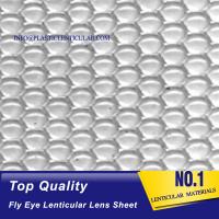 China PLASTIC LENTICULAR high quality one sided dots 360 3d fly eye lens sheet dot lenticular sheet for sale