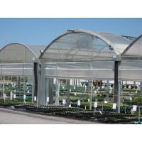 Quality Multi Tunnel Plastic Film Greenhouse 10x30m Customizable for sale
