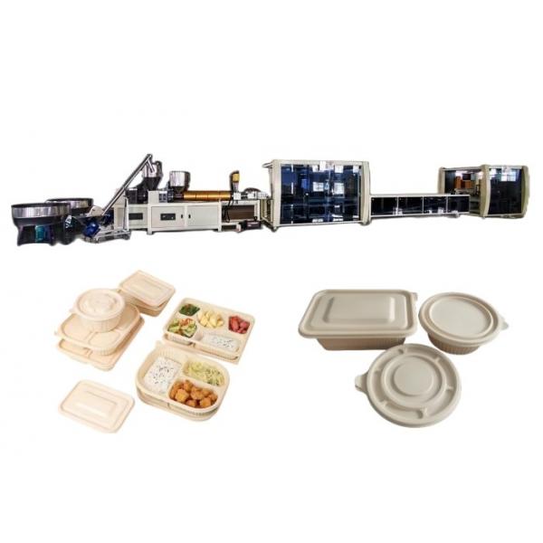 Quality Fast Food Take Away Box Making Machine Disposable Plastic Food Container Machine for sale