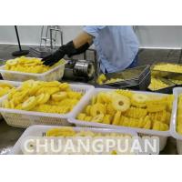 China 2-10T/H Pineapple Processing Line Stainless Steel Fully Automatic factory