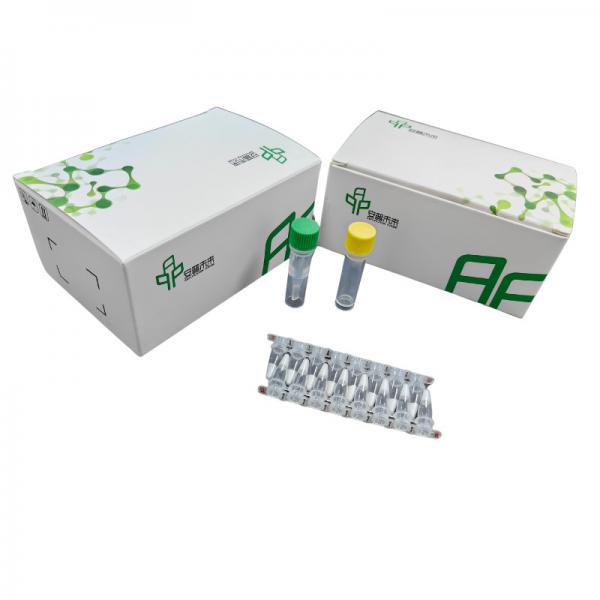 Quality DNA Isothermal Amplification Kit NFO For Room Temperature Amplification for sale