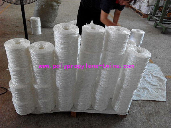 Quality Split Film 7500D Tomato Tying Twine 1200m/kg For Agriculture Packing Greenhouse for sale
