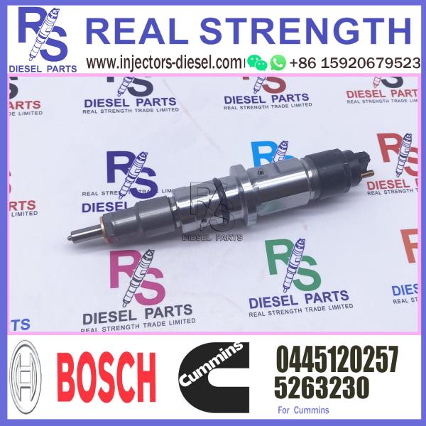 Quality Cummins Machinery Engines Parts ISB ISC ISL Injector 5263230 4994928 045120257 Fuel Injector 5263230 4994928 0445120257 for sale