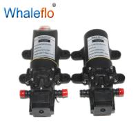 China Whaleflo FLO Series Micro DC Diaphragm Pumps FLO-2203 12VDC 2.6L/MIN 70PSI 2.1 Amps Agricultural 12v Spray Pump factory