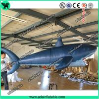 China 3m Inflatable Shark with Blower for Indoor Event Stage Decoration,Inflatable Shark Model factory