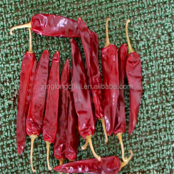 high quality Jinta Chilli Supplier