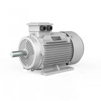 Quality Iec 34-1 Compact Asynchronous Motor Industrial 0.18-630kw Electric AC 380V for sale