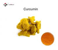 China Yellow Antiplatelet 95% Curcumin Extract Powder factory