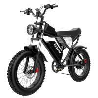 China Removable Battery Off Road Fat Tire Electric Bike 40 Miles Steel Frame factory