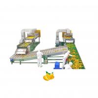 China Automatic Mango Processing Line Juice Machine Industrial Commercial factory