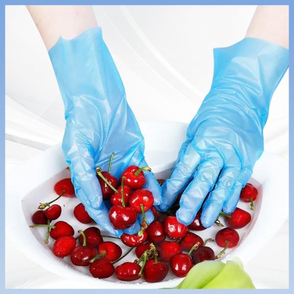 Quality FDA Disposable TPE Gloves Abrasion Resistant Food Safe Disposable Gloves for sale